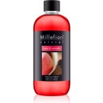 Millefiori Milano náplň do aroma difuzéru Jablko se skořicí 500 ml – Zboží Mobilmania