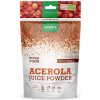 Doplněk stravy na imunitu Purasana BIO Acerola Juice Powder 100 g