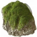 Europet Bernina Aqua Della Moss Stone XS 9x6x6,5 cm
