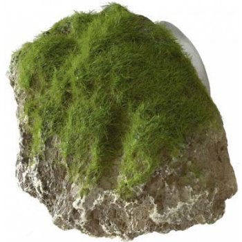 Europet Bernina Aqua Della Moss Stone XS 9x6x6,5 cm