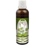 Naděje Tinktura z bylin Pelargonie růžová 50 ml – Hledejceny.cz