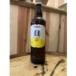 Primátor ležák 11% 0,5 l (sklo) – Zboží Dáma