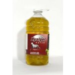 Silvita Hyalgel Horse jablko 5 l – Hledejceny.cz