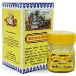 Siddhalepa Ajurvédský balzám 25 g – Zboží Dáma