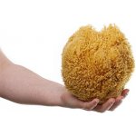 MKN Mořská houba tráva velká nebělená – Zboží Mobilmania