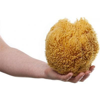 MKN Mořská houba tráva velká nebělená – Zboží Mobilmania