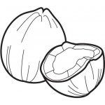 Alteya Kokosový olej 100% Bio 100 ml – Sleviste.cz