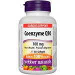 Webber Naturals Koenzym Q10 100 mg 60 kapslí – Hledejceny.cz