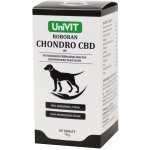 Roboran Chondro CBD 60 tbl – Hledejceny.cz
