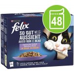 Felix So gut wie es aussieht Senior Pouches hovězí kuřecí sardinky losos 48 x 85 g – Zbozi.Blesk.cz