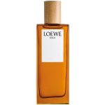 Loewe Solo toaletní voda pánská 50 ml – Hledejceny.cz