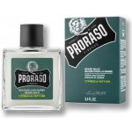 Proraso Cypress and Vetyver balzám na vousy 100 ml – Zboží Dáma