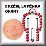 Jukl Aloe vera mast 50 ml – Hledejceny.cz