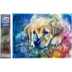 Norimpex Diamantové malování Pes s motýlem 30 x 40 cm – Sleviste.cz