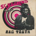 Big Youth - Screaming Target CD – Hledejceny.cz