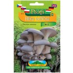 Nohel Garden Sadba Hlíva ústřičná M13 světle fialová – Sleviste.cz