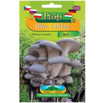 Nohel Garden Sadba Hlíva ústřičná M13 světle fialová – Sleviste.cz