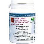 Maciocia Nefritový pramen T08 60 tablet – Hledejceny.cz