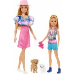 Barbie Stacie a Barbie 2-balení panenek HRM09 – Zboží Dáma