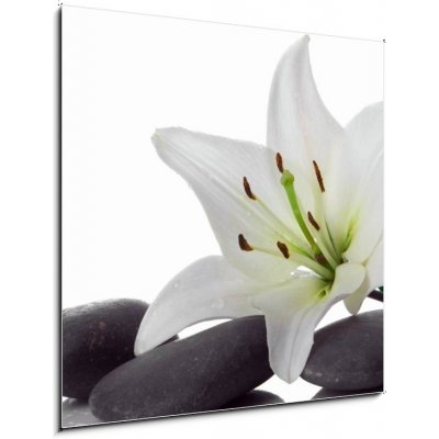 Skleněný obraz 1D - 50 x 50 cm - madonna lily and spa stone madonna lily a lázeňský kámen