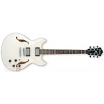Ibanez AS 73 – Hledejceny.cz