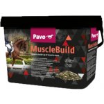Pavo Muscle Build NEW 3 kg – Zboží Dáma
