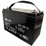 AGM 100Ah 12V AKU 100-12 – Zboží Živě