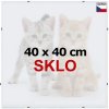 Příslušenství k puzzle BFHM Rám na puzzle Euroclip 40 × 40 cm sklo