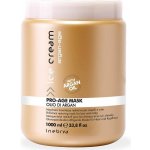 Inebrya Ice Cream Argan Age Pro-Age Mask 1000 ml – Hledejceny.cz