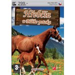 Hřebčín U Bílého potoka – Zboží Dáma