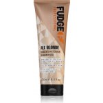 Fudge All Blonde Colour Lock Shampoo 250 ml – Zbozi.Blesk.cz