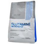 Ostrovit Glutamine 1000 g – Sleviste.cz