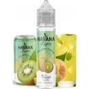 TI Juice Havana Lights Shake & Vape Kiwi 15 ml