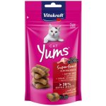 Vitakraft Cat Yums Superfood bezinky 40 g – Hledejceny.cz