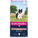 Eukanuba Senior Small & Medium Breed jehněčí s rýží 12 kg – Hledejceny.cz