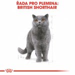 Royal Canin British Shorthair Adult 2 kg – Zboží Mobilmania