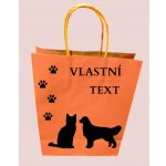 Dárková taška jednobarevná Vzor: 1, Barva: sv. zelená – Sleviste.cz