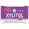 Žvýkačka Lotte Xylitol Blueberry Mint 11.6g