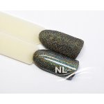 NL nails professional GLITTER LIMITED COLLECTION – Hledejceny.cz