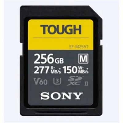 Sony 256 GB SF-M256T