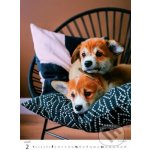 Helma nástěnný Puppies/Welpen/Štěňátka/Šteniatka 24 × 33 cm 2026 – Sleviste.cz