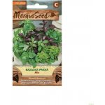 MORAVOSEED Bazalka pravá směs