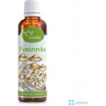 Serafin tinktura z bylin Penízovka 50 ml – Hledejceny.cz