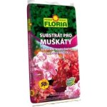 Agro CS Substrát pro muškáty 50 l – Zboží Mobilmania