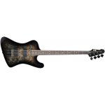 ESP LTD PHX-204DX – Hledejceny.cz