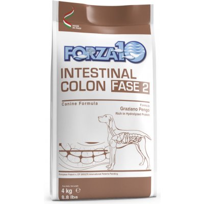 Forza 10 Active Line Intestinal Colon Phase 2 4 kg – Zboží Mobilmania