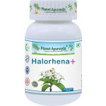 Planet Ayurveda Kutaj Halorhena + 60 kapslí – Hledejceny.cz
