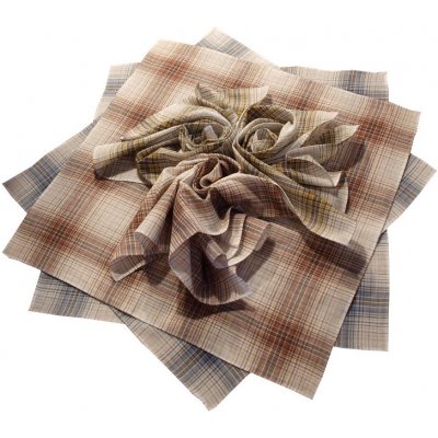 Etex kapesníky pánské bavlněné – Hledejceny.cz