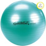 Ledragomma Gymnastik Ball Standard 65 cm – Zboží Dáma