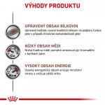 Royal Canin Veterinary Diet Dog Hepatic 420 g – Sleviste.cz